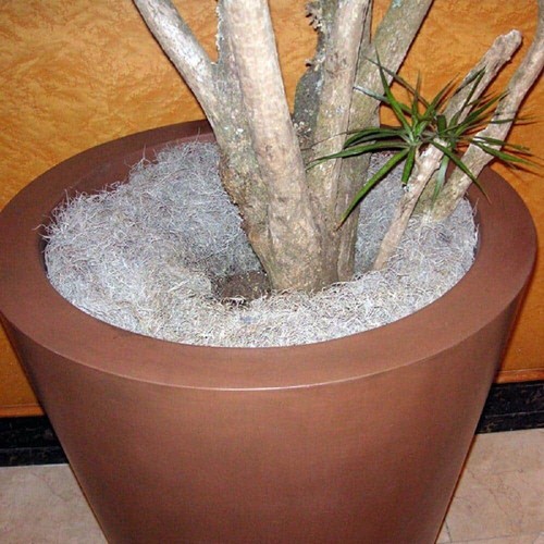 250 cu. in. Spanish Moss Soil Cover - Picture 8 of 8