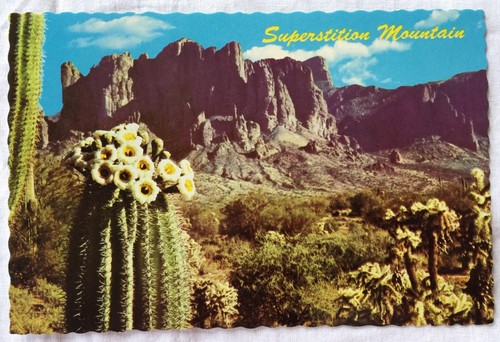 Arizona, New Mexico, National Parks, Washington DC - Postcards UNPOSTED - Picture 29 of 90