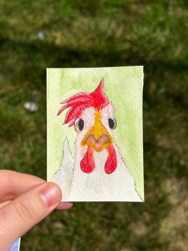 ACEO origional Painting, Watercolor/Mixed Media, Stunned Chicken, 2.5inx3.5in
