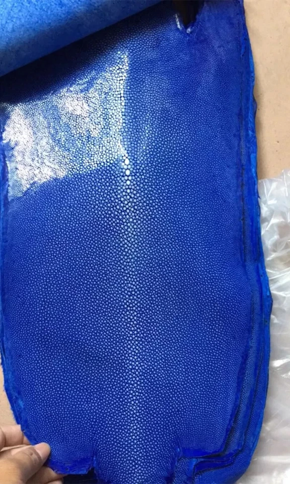 Piel de piel de raya real pulida azul real piel peluda 4-10 pulgadas Foto 3 de 4