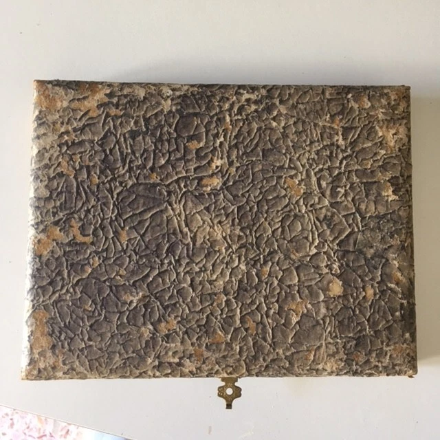 6 bellissimi coltellini da burro EPNS con manici in resina e relativa scatola. - Immagine 3 di 3