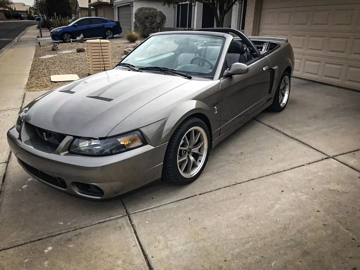 Click photo thumbnail to view