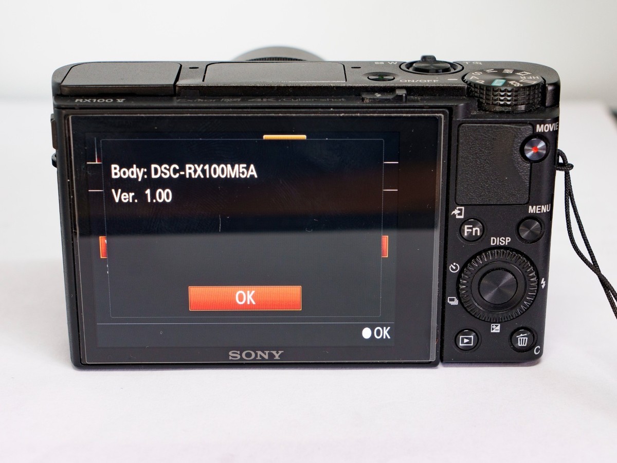 ＳＯＮＹ　ＤＳＣ－ＲＸ１００Ｍ５Ａ Amazon.com : Sony RX100V Cyber-Shot Digital Camera 20.1MP CMOS