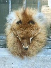 Traditional Scottish Fox Face Fur Leather Kilt Sporran With Chain Belt