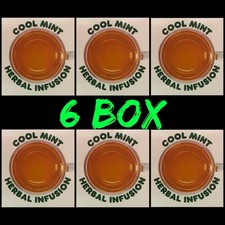 Dunkin Cool Mint Herbal Infusion Tea Total 90 Tea bags Enliven Your Senses 6 Box
