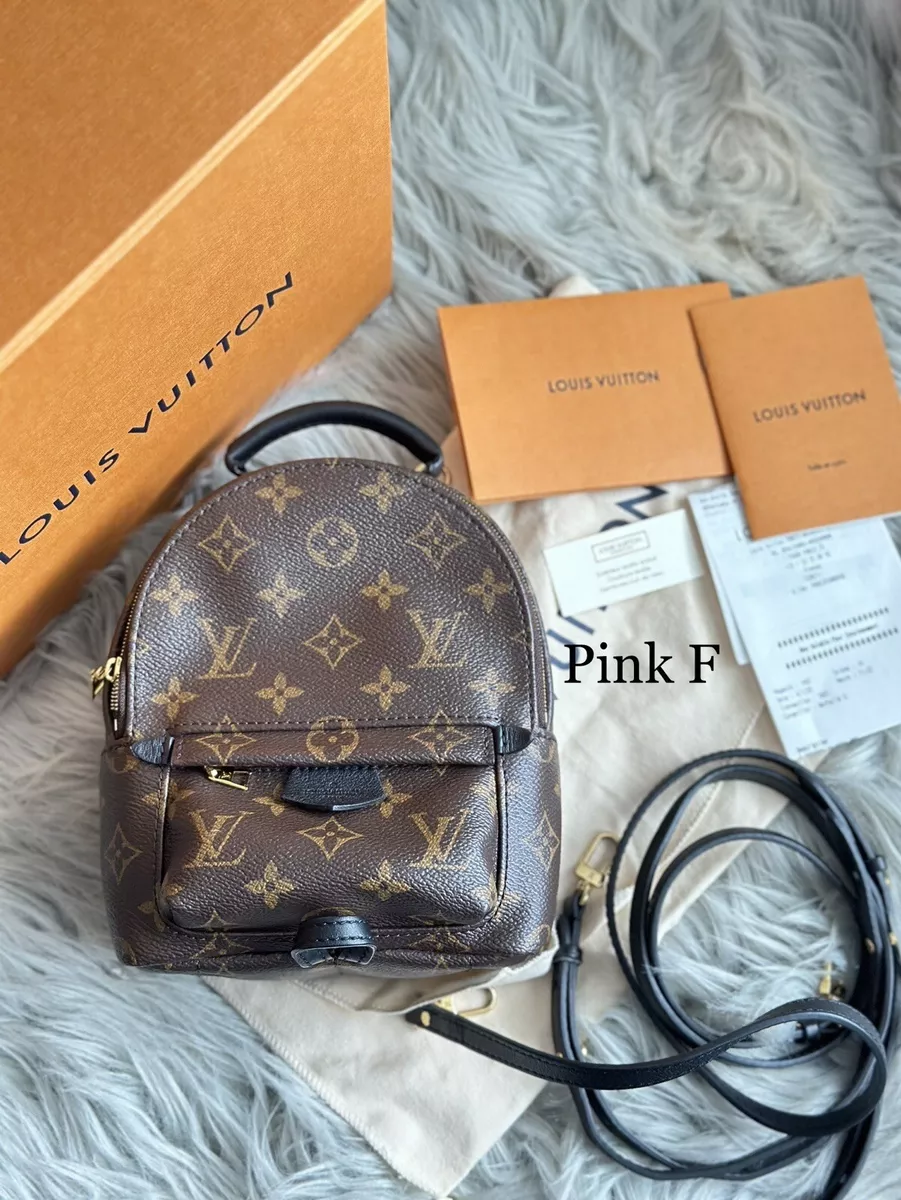 Louis Vuitton 2020 pre-owned Palm Springs MM backpack, Brown