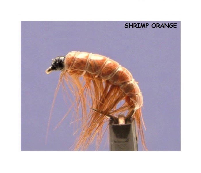 Pesca Mosche Gamberetti E Strisciando Ninfe Dodici Confezione Misura 8 - Foto 7