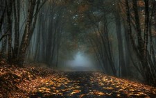Landscape nature mist road forest leaves fall trees dark Custom Gaming Mat Desk