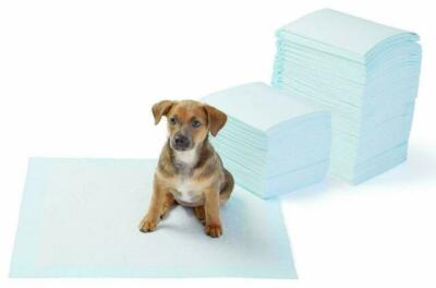 Training Pads Amazon Basic Heavy Duty Pet & Puppy Regular 40 Count 23'' x 24'' New