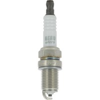 Borgwarner Beru Z247 ZüNdkerze FüR Citroen Peugeot Rover Fiat Renault Daewoo