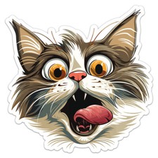 Funny Cat - Car Bumper Sticker Vinyl Art Decal