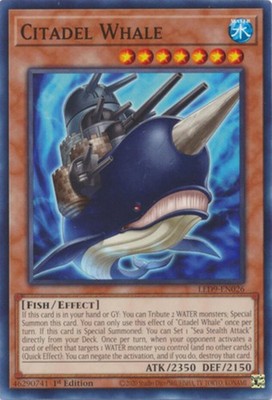 Citadel Whale - LED9-EN026 - Common - 1st Edition - Near Mint