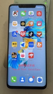 Original Huawei Mate 20 Pro Display Sprung Für Datenrettung Oder Refurbisch