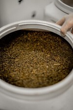 organic loose leaf green tea
