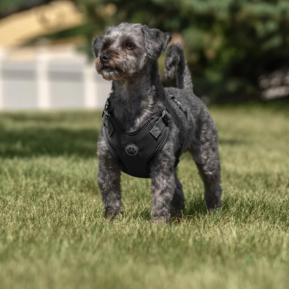 Dog Harness, Adjustable Mesh, Reflective Dog Walking Pet Harness, Black