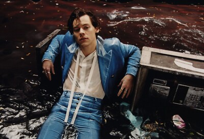 Large A3 Harry Styles Poster (Brand New)