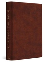 ESV Everyday Gospel Bible | Paul David Tripp | Englisch | Buch | 2024