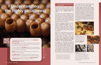 The Australian Native Bee Book: Keeping Stingless Bee Hives Tim