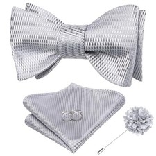Self Tie Bow Ties and Lapel Pin for Men Paisley Solid Mens Bowtie and Sliver