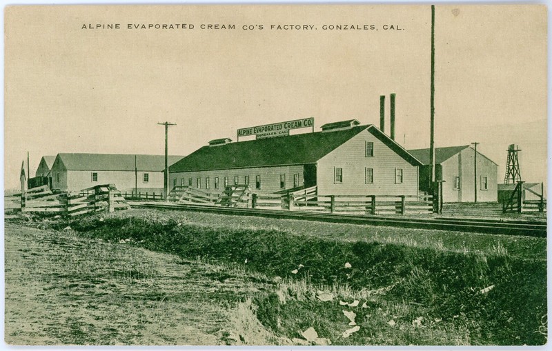 Antique 1907 Postcard Alpine Evaporated Cream Company's Factory Gonzales CA