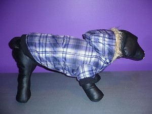 purple dog jacket