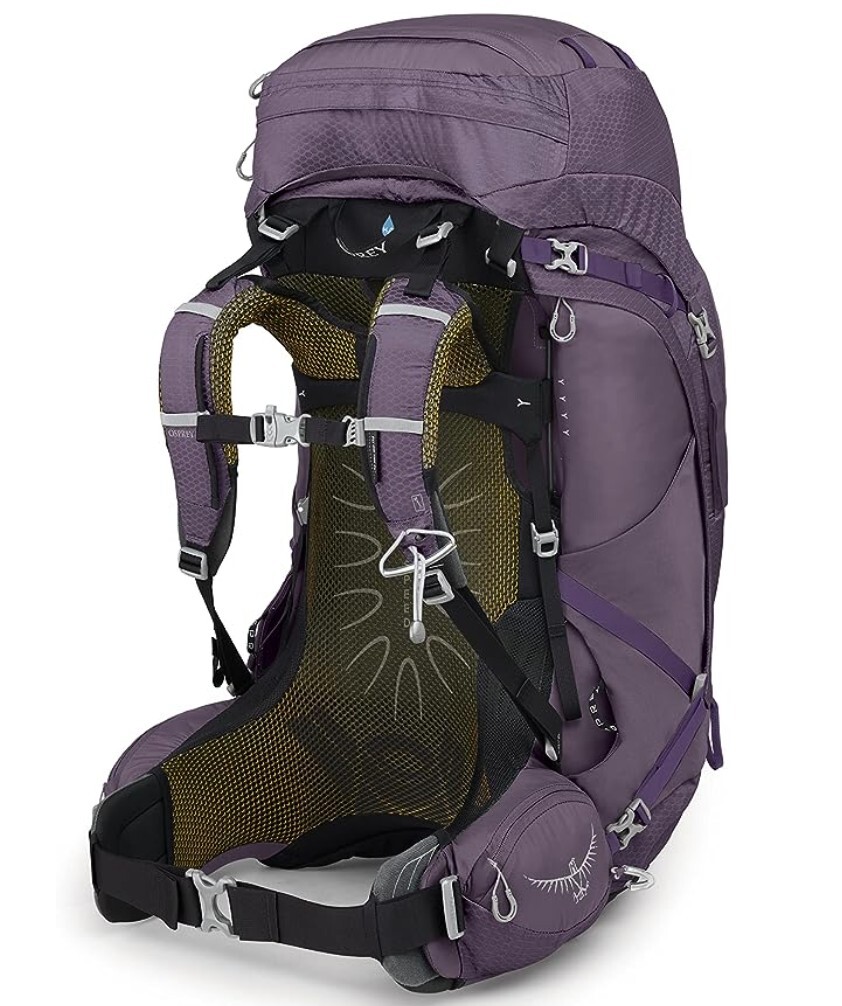 Osprey Women's Aura AG 65 Backpack M/L Enchantment Purple eBay