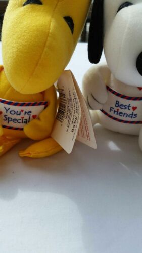 Baby Snoopy and Woodstock Squeaking 50th Anniversary Plush Stuffed Val. Day 8" - Picture 2 of 12