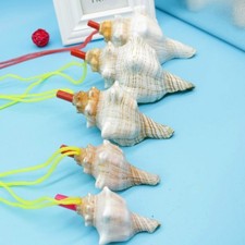 Natural Conch Horn Whistle Shells Sea Snail Kid Toy Novelty Gift Tool Cute New