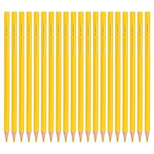 Lemon Yellow Colored Pencils Set, 20 Pcs Oil Color Pencils