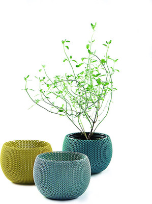 Keter Knit Cozies 3 Pcs Multi Color Plastic Plant Pots Small 5.7'' X 5.7'' X 4.2''