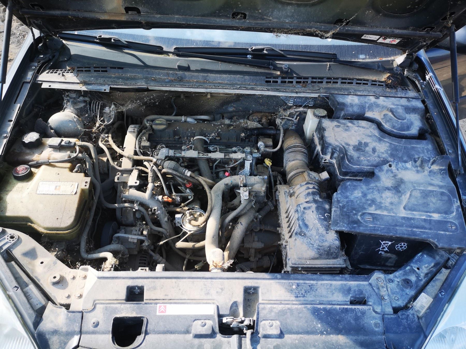 9640951480 Engine Mounting and Transmission Mount (Engine suppor  