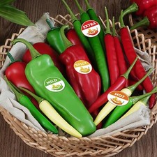 500x 4 Level Home Spiciness Indicator for Grocery Store Hot Sauce Restaurant