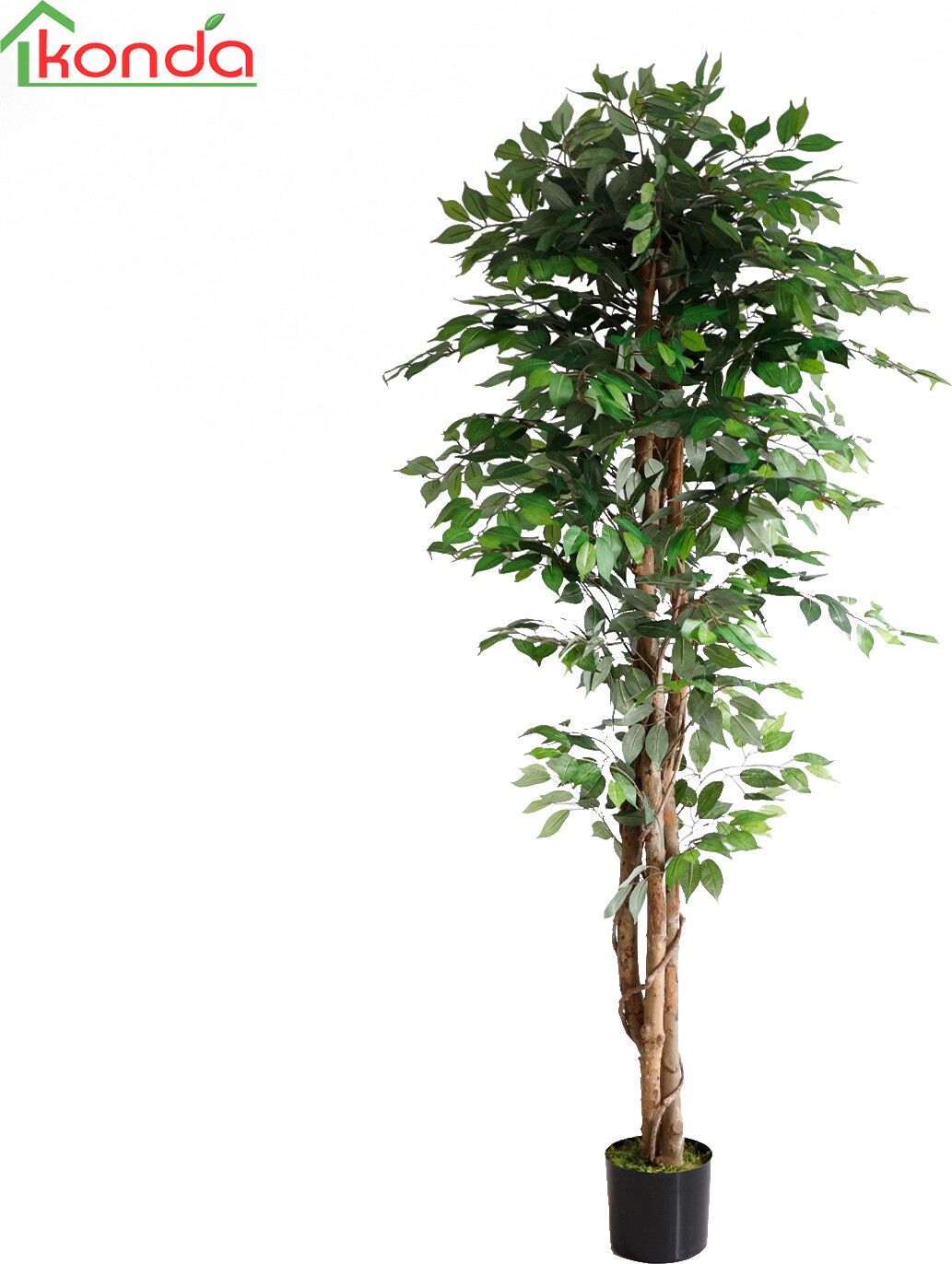Pianta Artificiale Ficus 210cm KA0081 | Arredo Ufficio e Casa DecHome