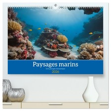 Paysages marins Une plongée fantastique  (Ca...