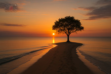 Digital Photo Art Wallpaper, Look like Lone Tree at Sunset by the Sea