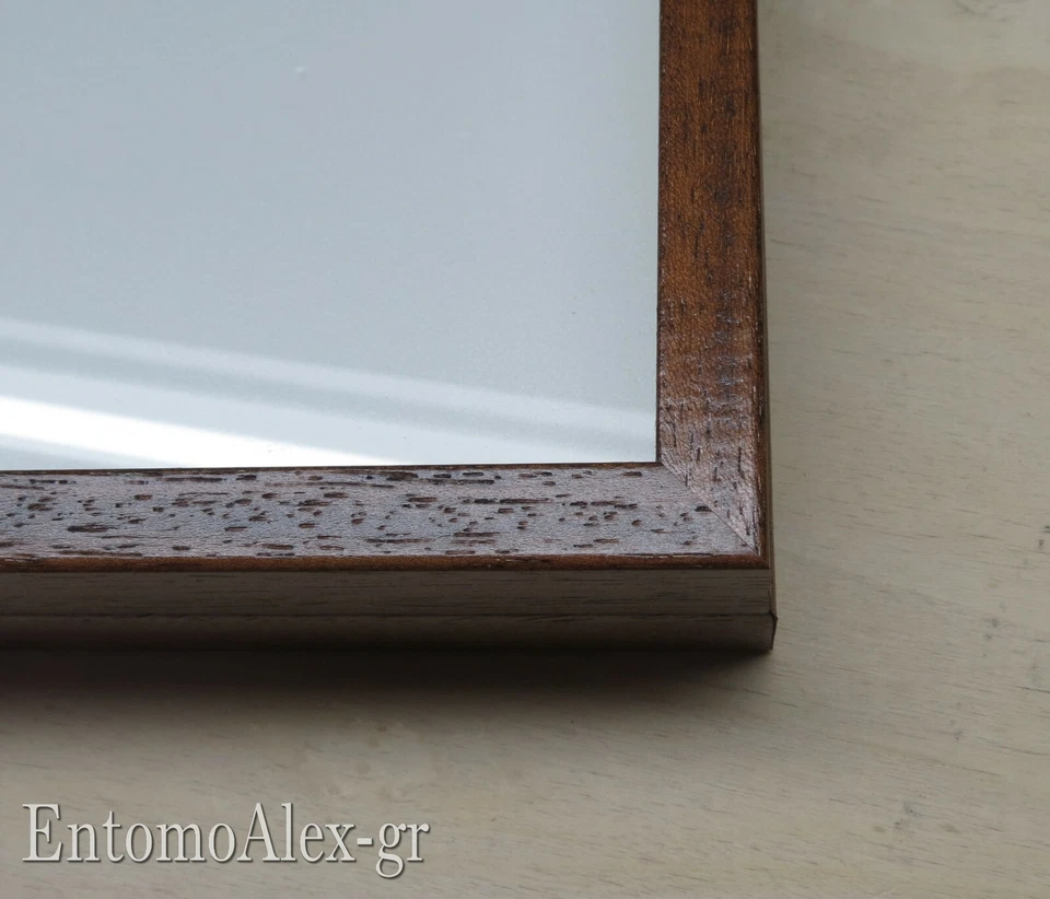 scatola entomologica legno MARRONE 19X26 plastazote entomologia cassetta insetti - Immagine 3 di 4