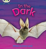 Emma Lynch | Bug Club Phonics - Phase 3 Unit 10: In The Dark | Taschenbuch