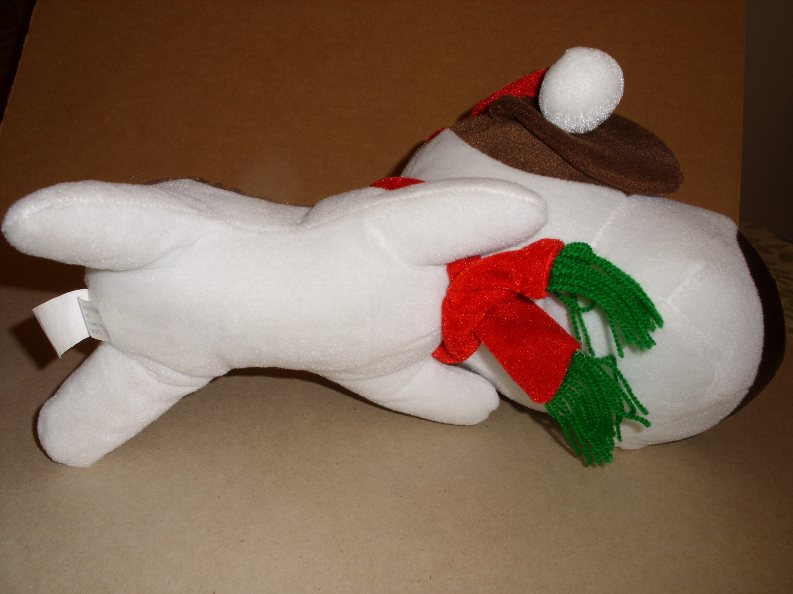Picture 5 of 5