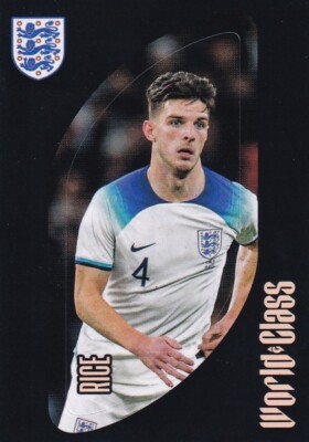 Panini World Class 2024 Autocollant N° 302 Rice Découpé | eBay