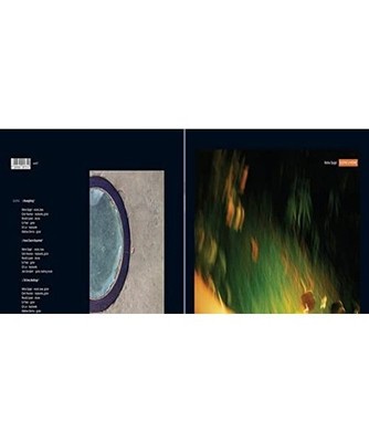 Gliding & Hiding, Malka Spigel (Ex Minimal Compact)