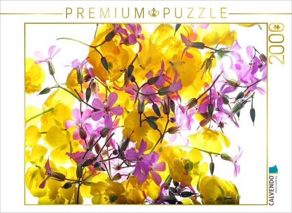 Calvendo Puzzle Forest And Meadow Flowers | 2000 Pieces, Finished Size 35.4 × 26-image