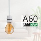 Bild 79 von 90