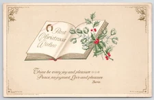 Best Christmas Wishes Verse Holly in Book 1914 Winsch Postcard