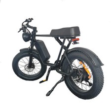 Flashwalk Electric Bike 20" Fat Tire 1000W Motor 34.2Mph 720Wh Removable Battery