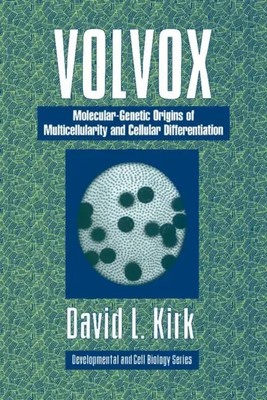 David L. Kirk | Volvox | Taschenbuch | Englisch (2005) | Kartoniert / Broschiert