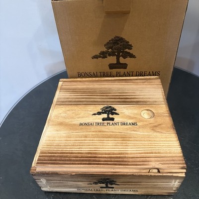Bonsai Tree Starter Kit with 4 Unique Japanese Trees Plus Accessories Gift NIB