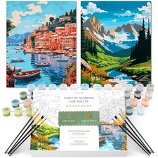 Beautiful Paint By Number Kit for Adults - Relaxing  Beginner-Friendly Paint...
