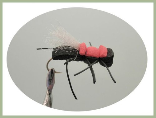 Foam Bug Flies, Boxed set of 16 foam flies, size 8, for fly fishing - Picture 6 of 12