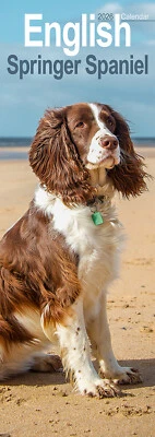 AVONSIDE PUBLISHING LTD English Springer Spaniel Slim 2026 Calendar | Dog Gift 20% OFF MULTI ORDERS