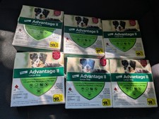 Bayer Advantage II Flea Prevention and Treatment for Large Dogs - 6 Pack of 4